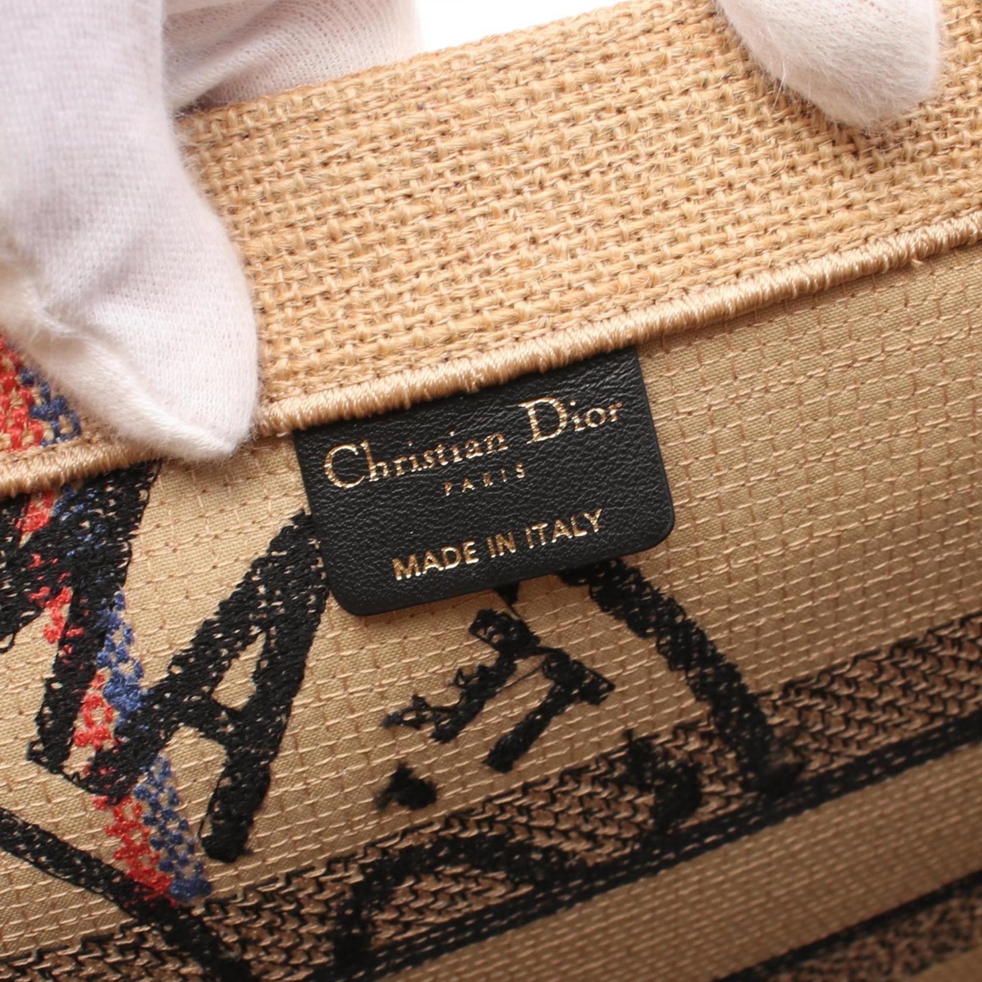 Dior Book Tote