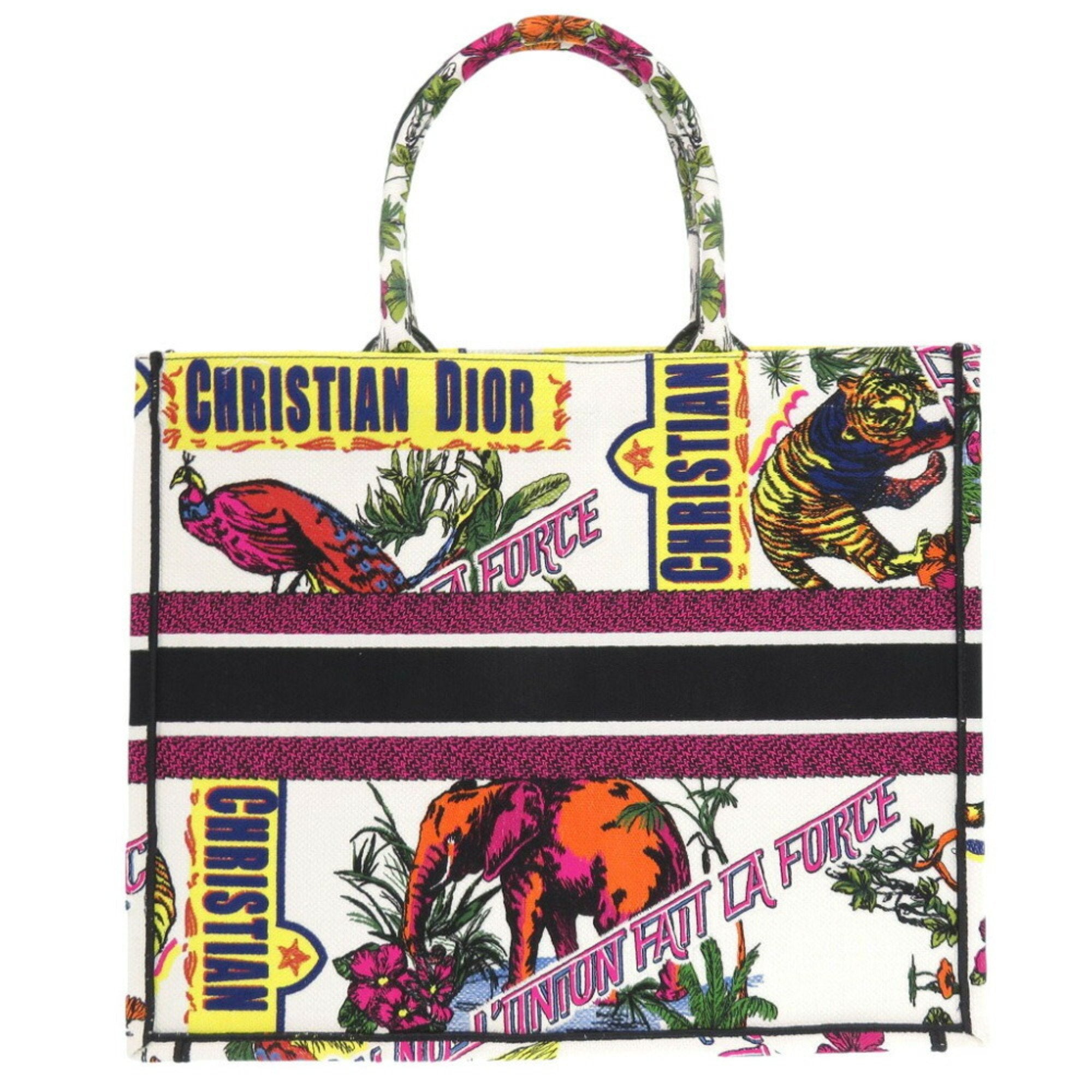 Dior Book Tote