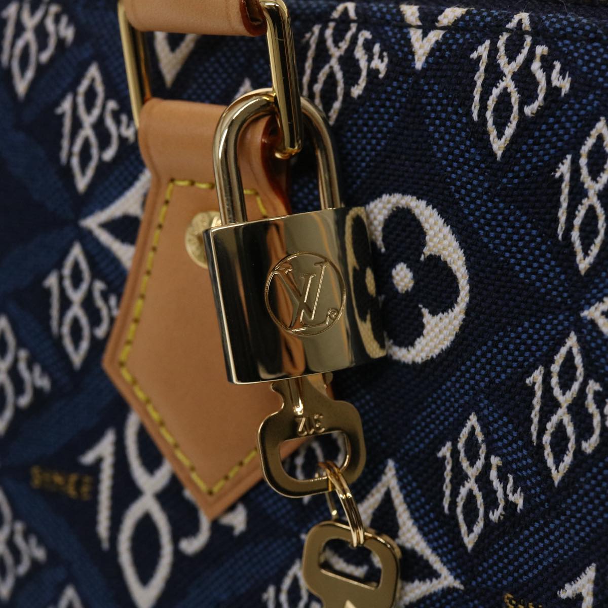 Louis Vuitton Speedy bandoulière 20