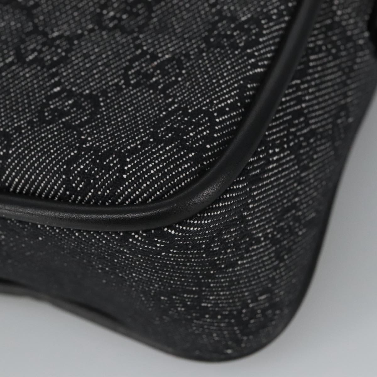 Gucci GG canvas