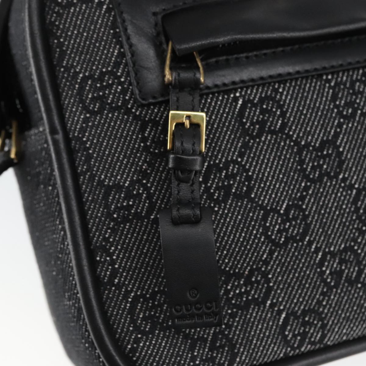Gucci GG canvas