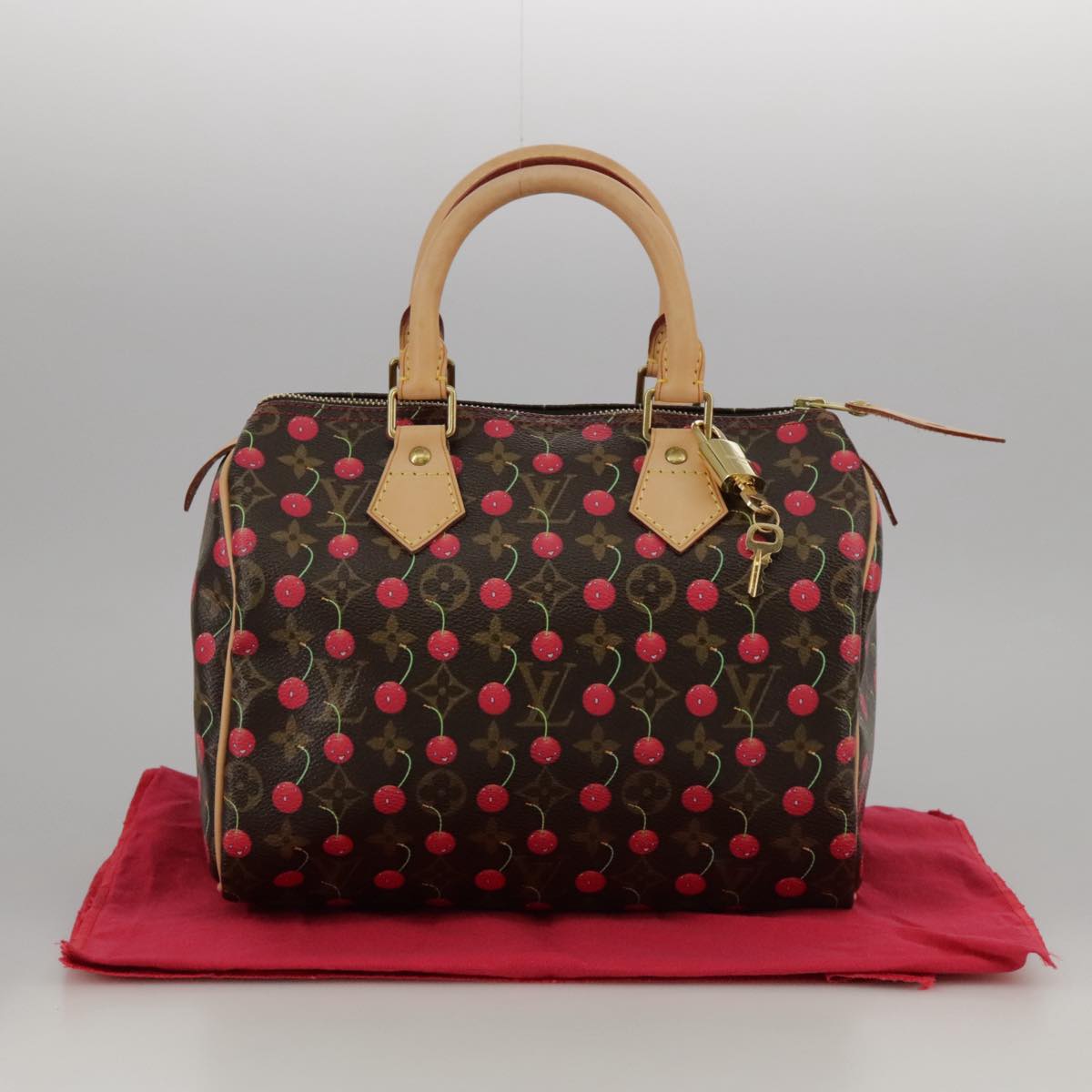 Louis Vuitton Speedy 25