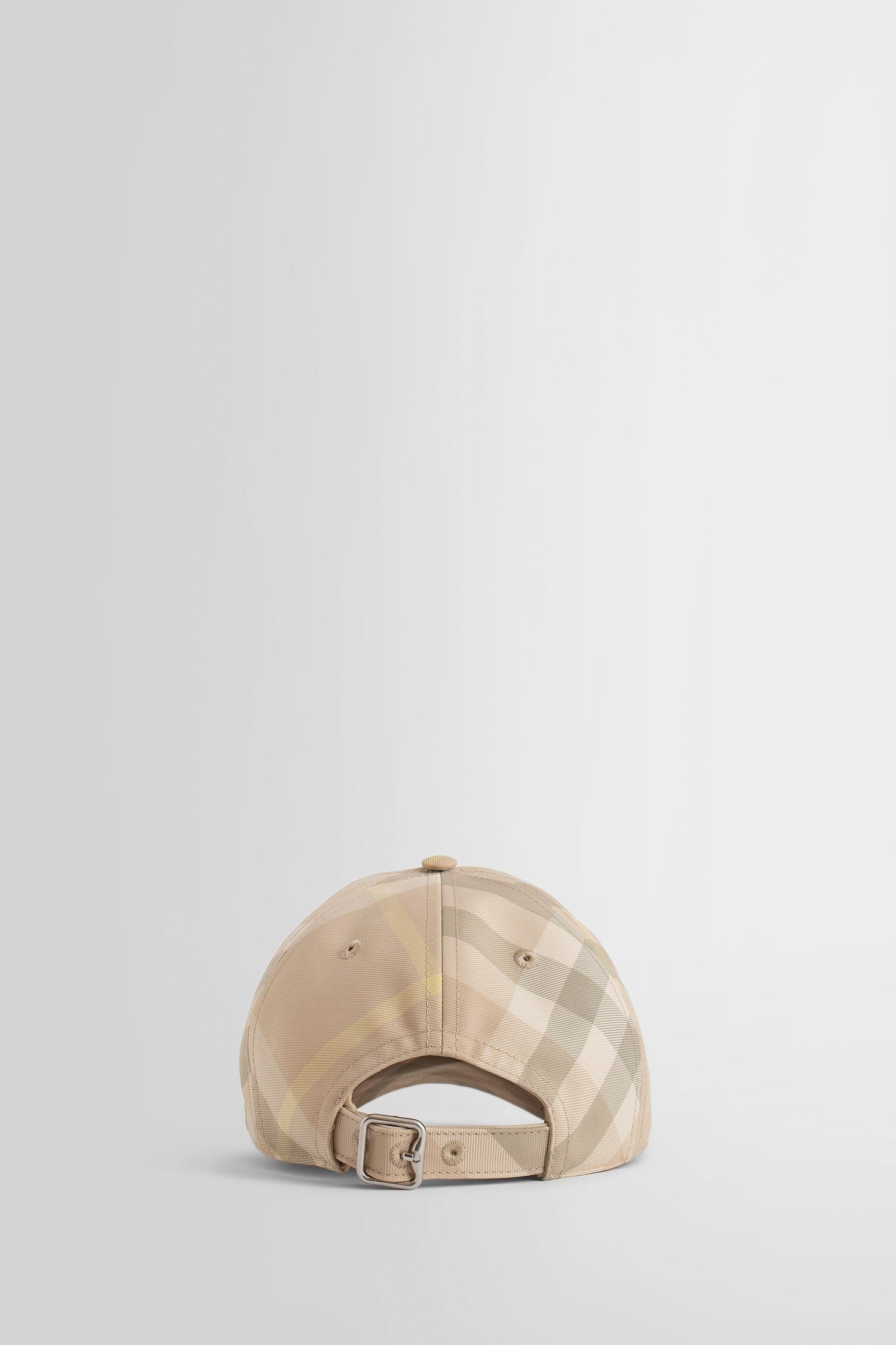 Check Baseball Cap