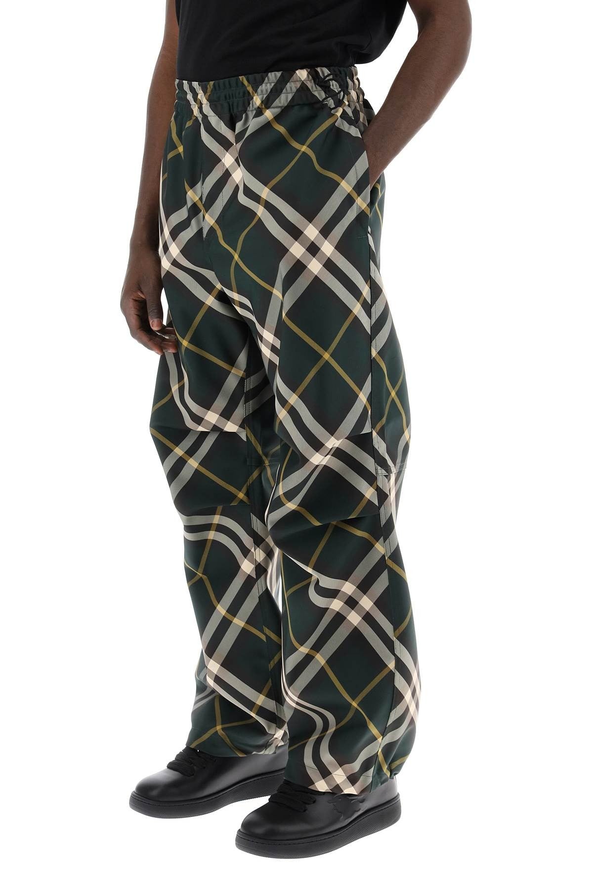 ered twill pants