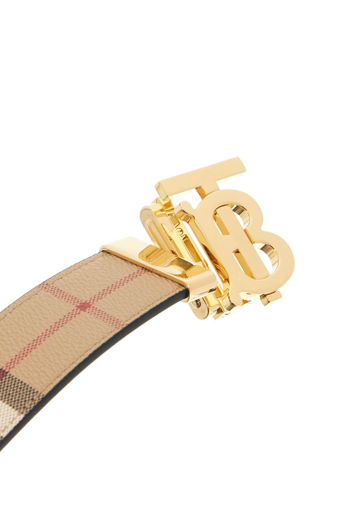 reversible tb check belt