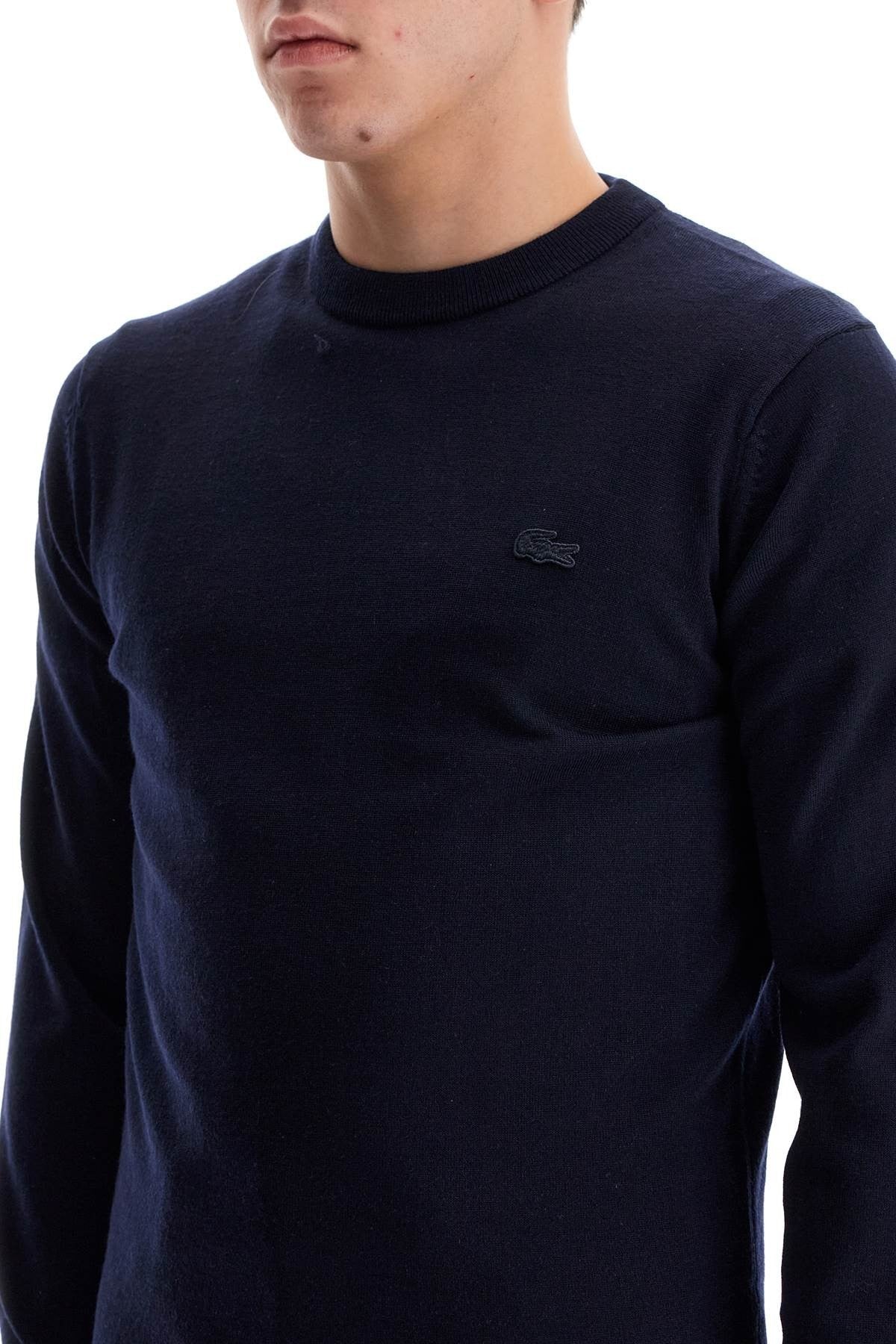 wool crewneck pullover