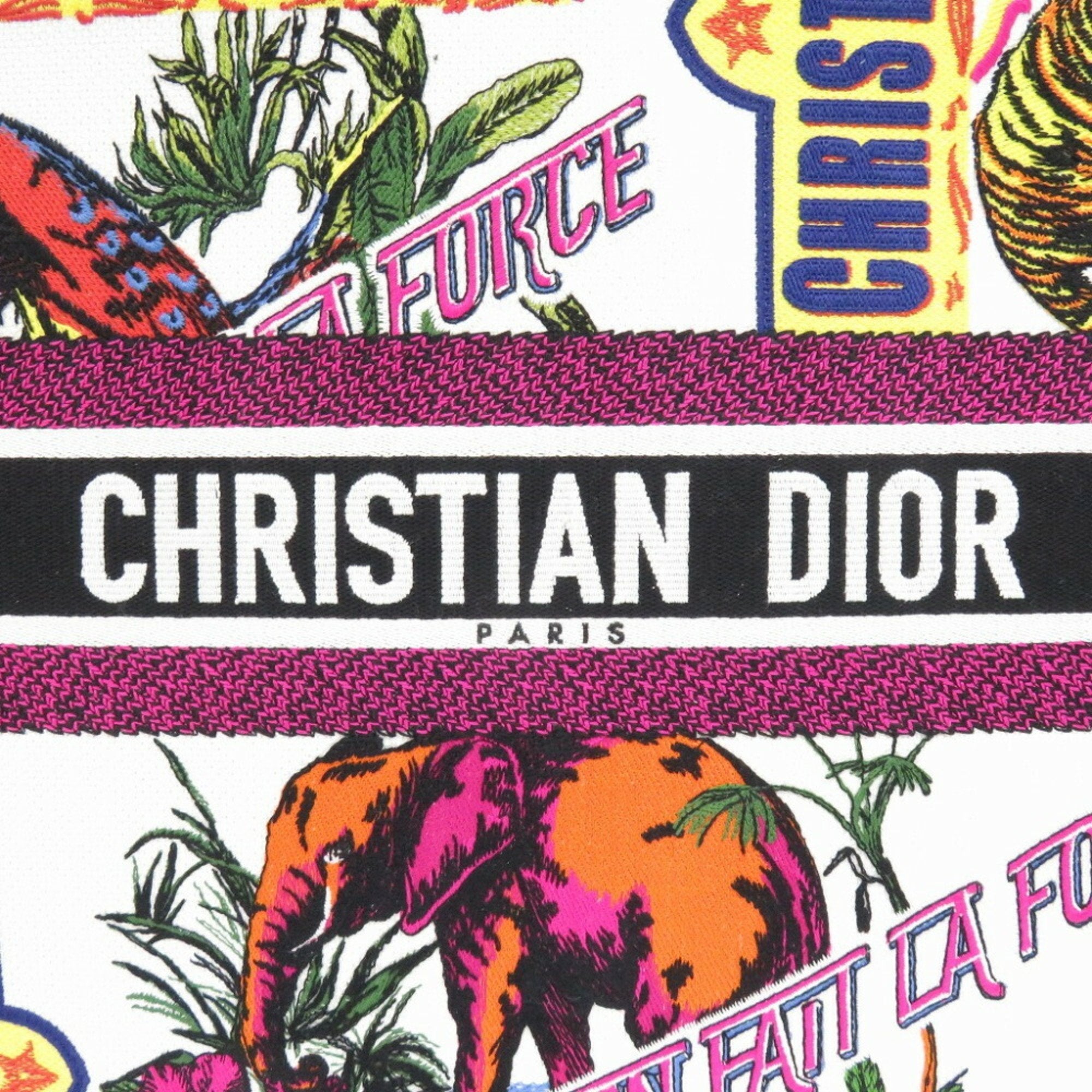 Dior Book Tote