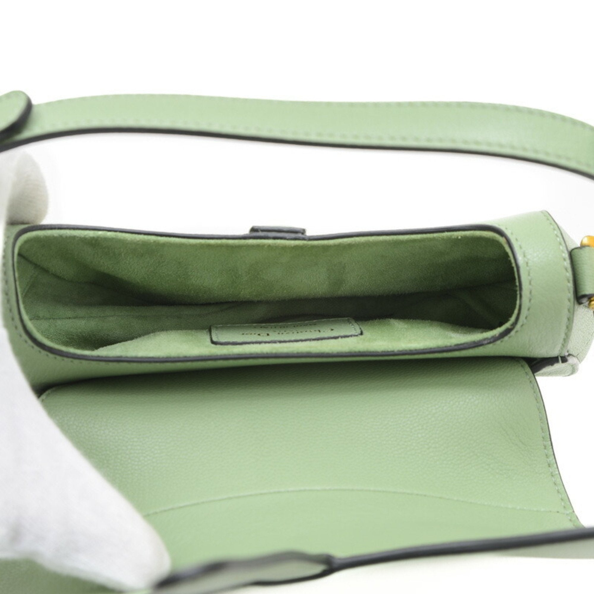 Dior Saddle