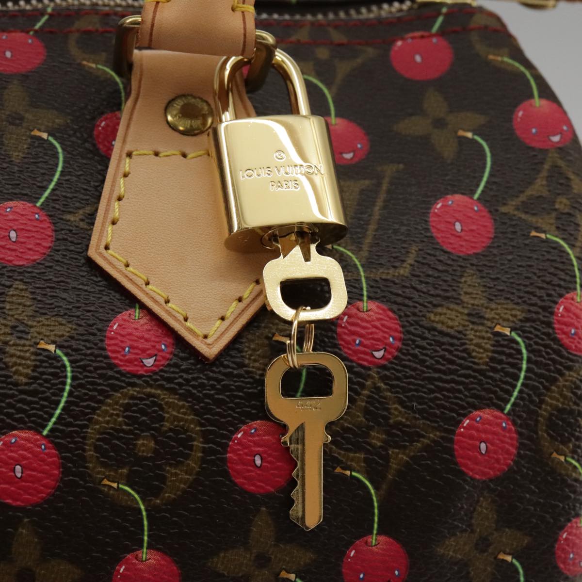 Louis Vuitton Speedy 25