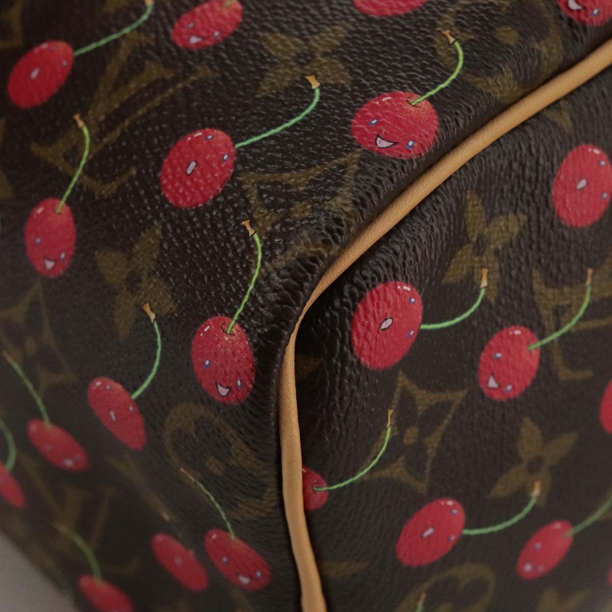 Louis Vuitton Speedy 25