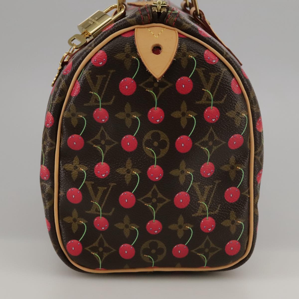 Louis Vuitton Speedy 25