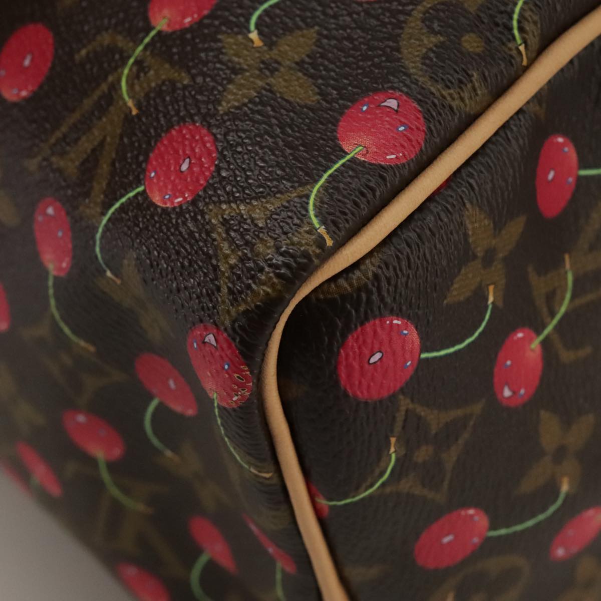 Louis Vuitton Speedy 25