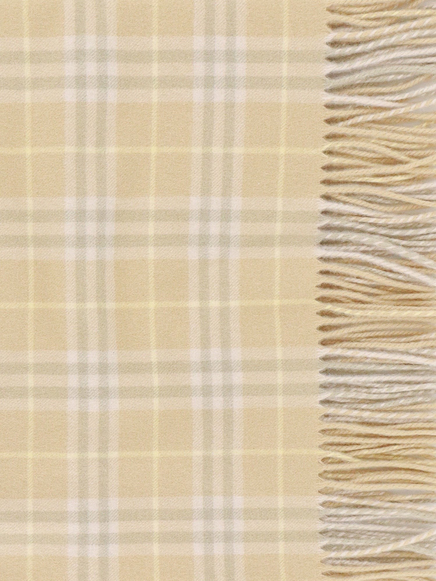 BURBERRY SCARF
