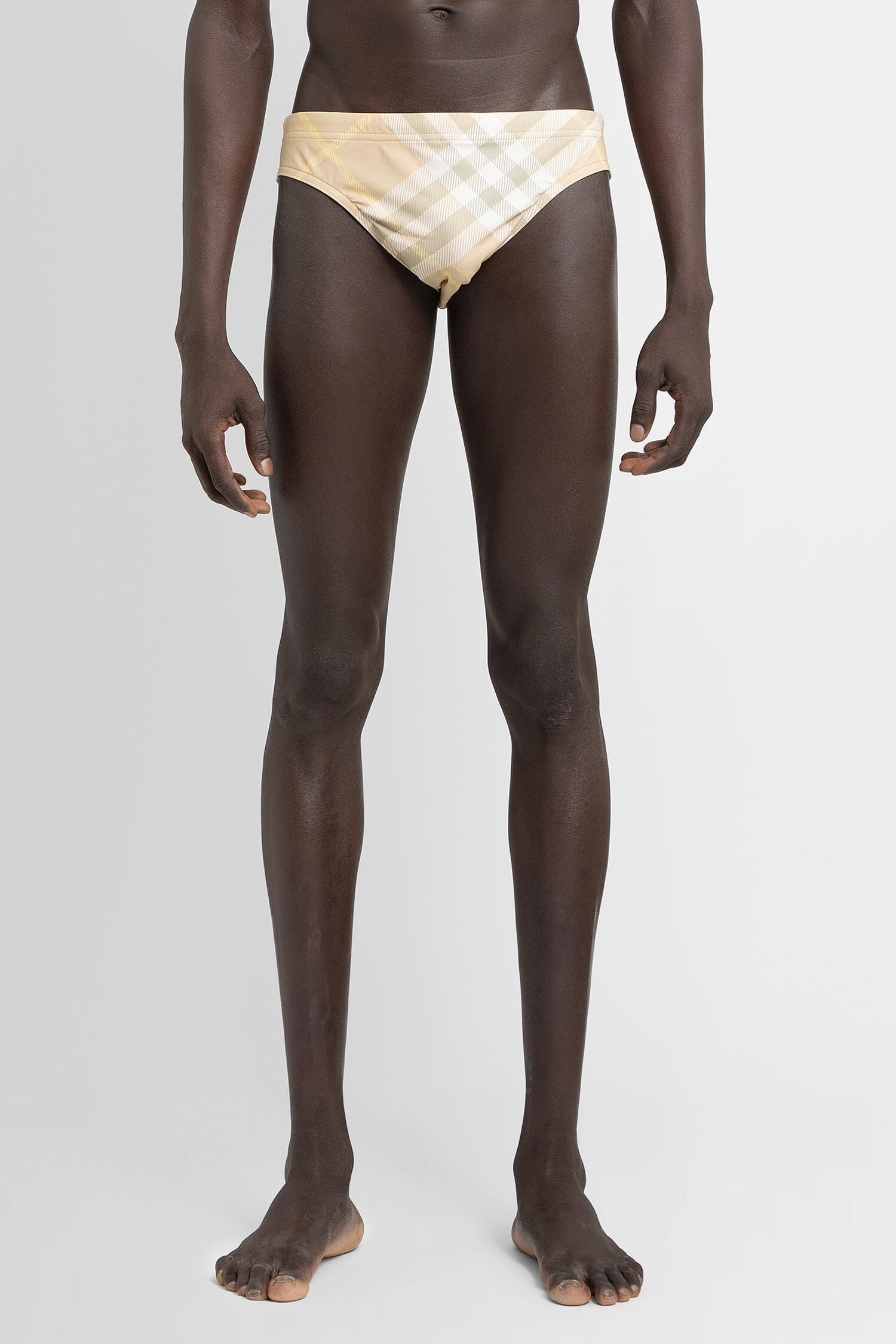 Check Swim Briefs