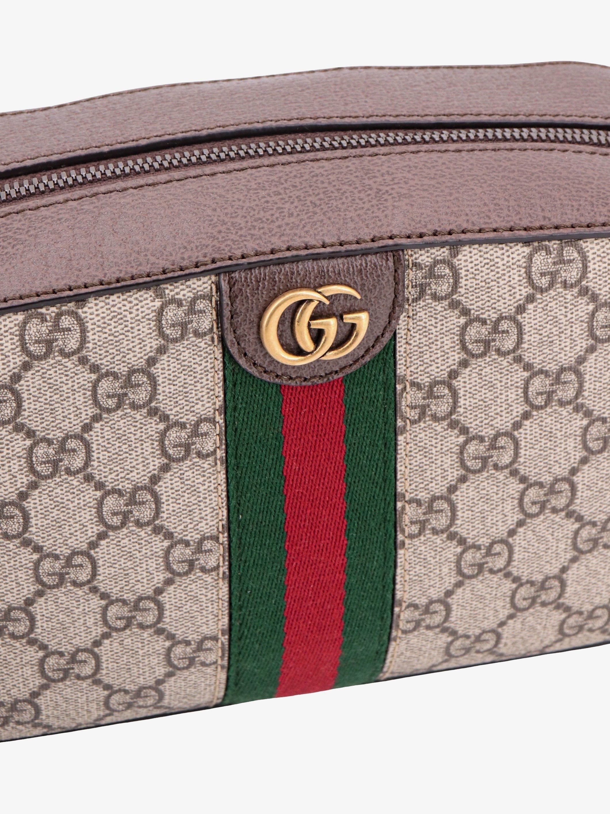 GUCCI OPHIDIA GG