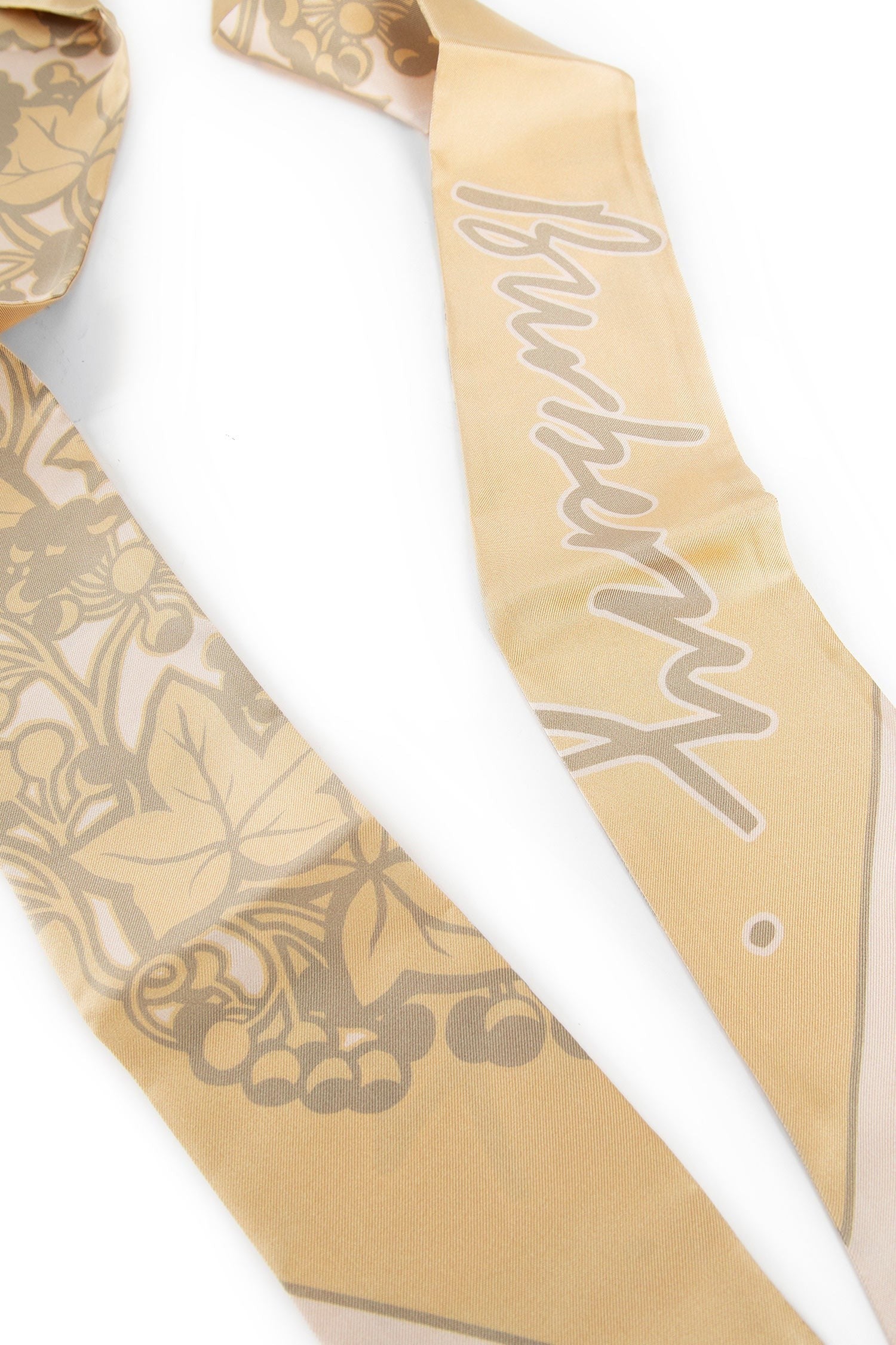 Skinny Ivy Silk Scarf